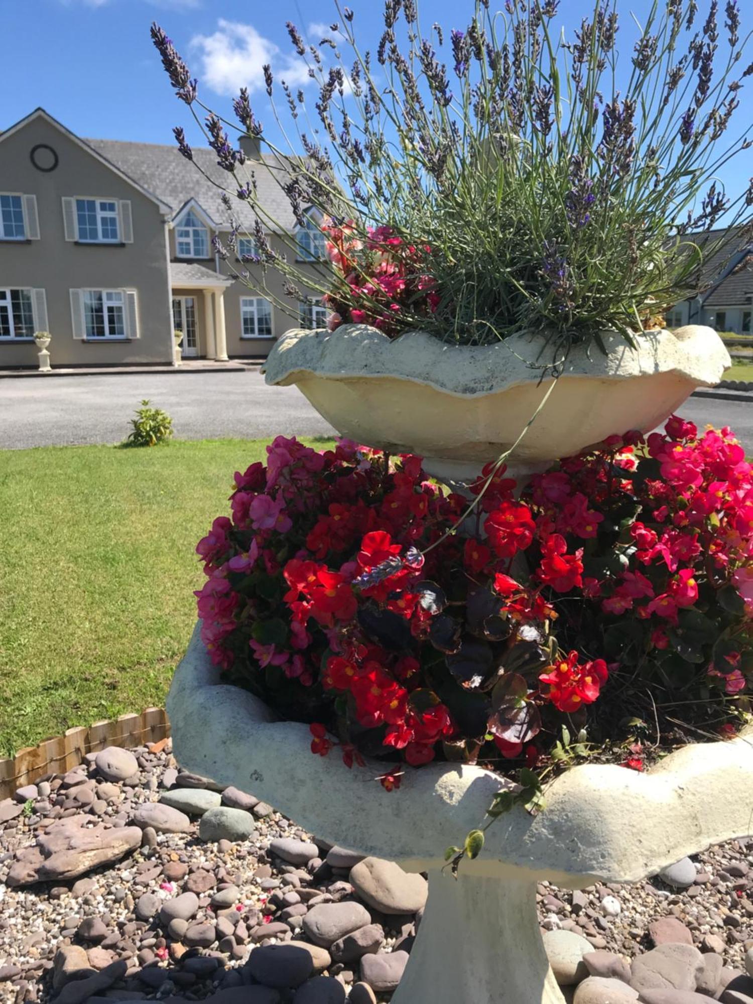 Kielty'S Of Kerry Bed And Breakfast Waterville Luaran gambar